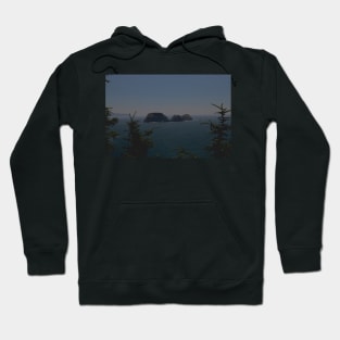 850_6228 Hoodie